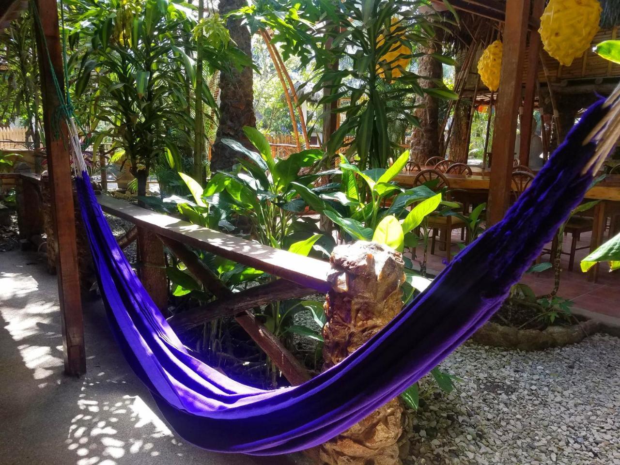 Casa Del Sol Hostel Montañita Εξωτερικό φωτογραφία